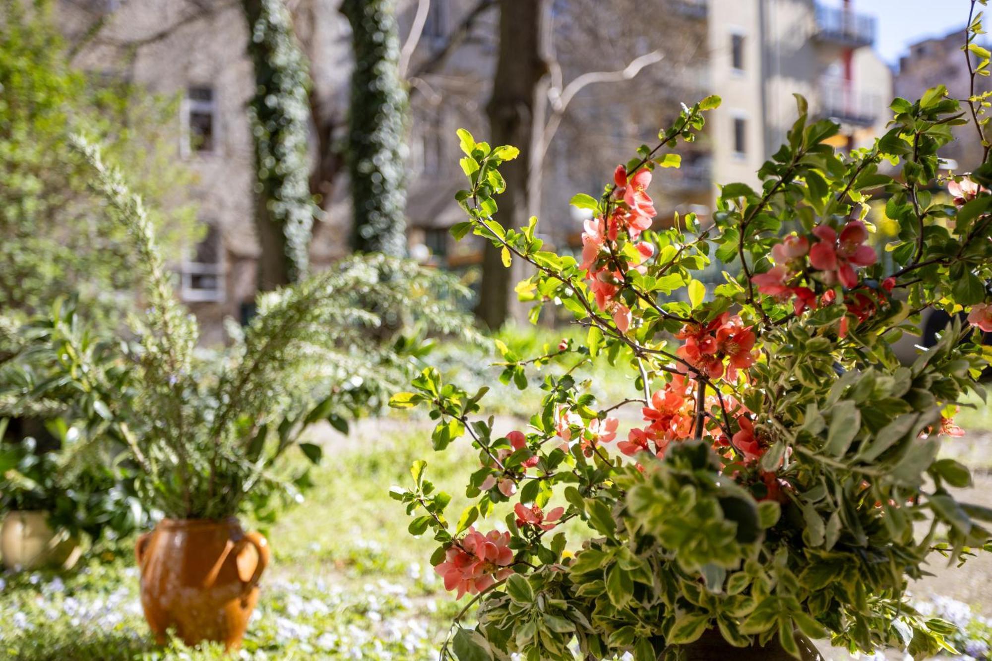 Ginkgobiloba The Green Harmony Apartment Budapest Extérieur photo